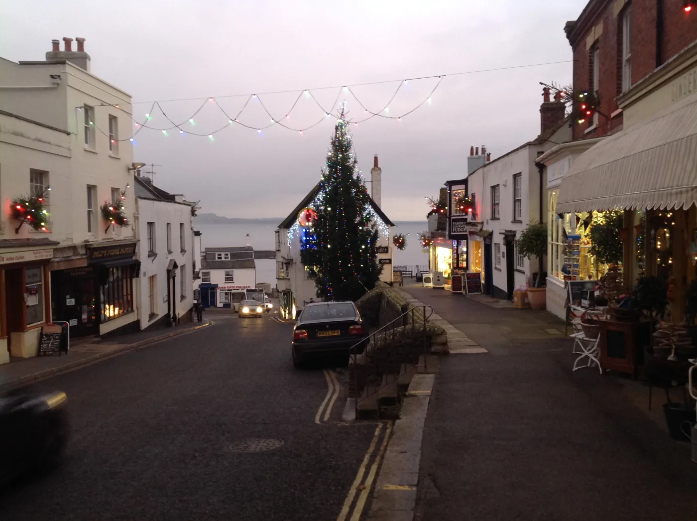 The Christmas tree and lights on Broad Street, Lyme Regis. This year's switch-on is on Saturday 21 November.