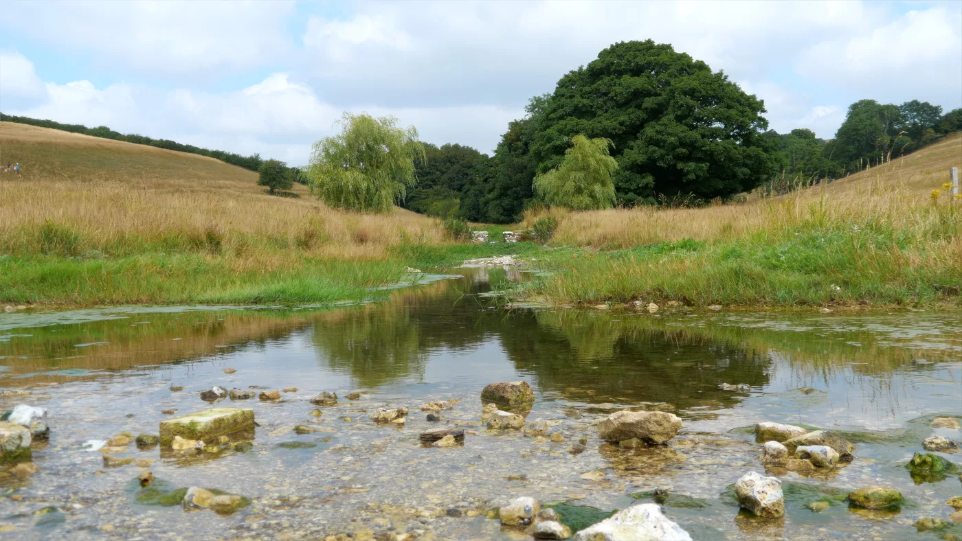 A shallow, stony stream running between grassy banks towards a stand of trees