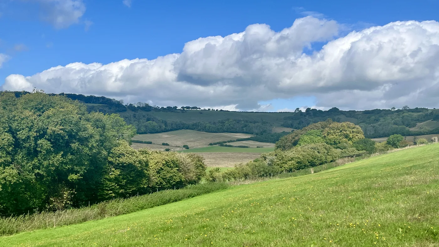 A grassy slope looking across a valley of fields, woodland and hedgerows under a cloudy blue sky